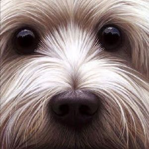 Meet your Posher, Merideth